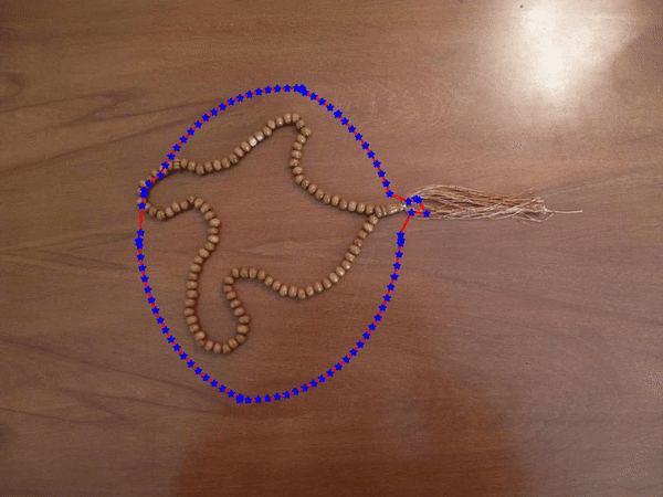 Active Contours for Object Detection
